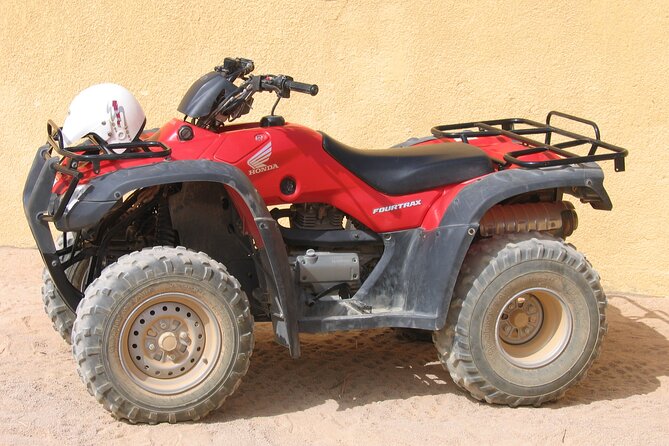 ATV Safari Tour From Hurghada With Camel Ride - Tour Highlights