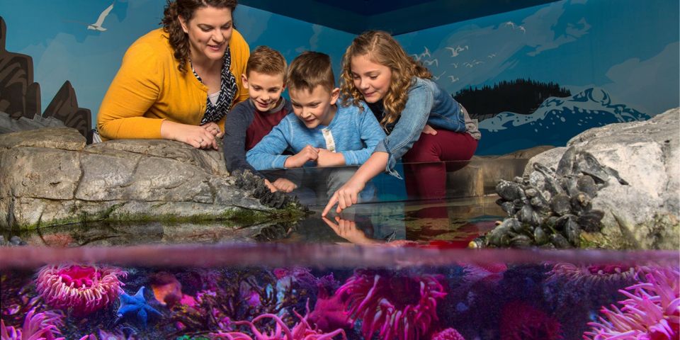 Auburn Hills: Legoland and Sea Life Aquarium Combo Ticket - Key Points