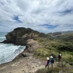auckland city sightseeing and explore piha beach Auckland: City Sightseeing and Explore Piha Beach