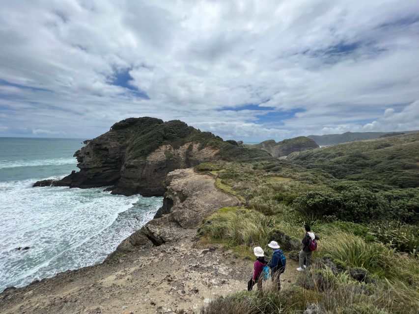 Auckland: City Sightseeing and Explore Piha Beach - Key Points