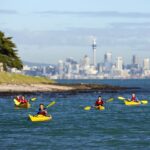 auckland half day sea kayak tour to motukorea island Auckland: Half-Day Sea Kayak Tour to Motukorea Island