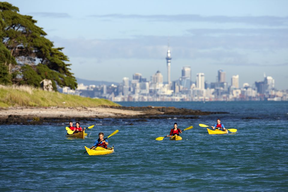 auckland half day sea kayak tour to motukorea island Auckland: Half-Day Sea Kayak Tour to Motukorea Island