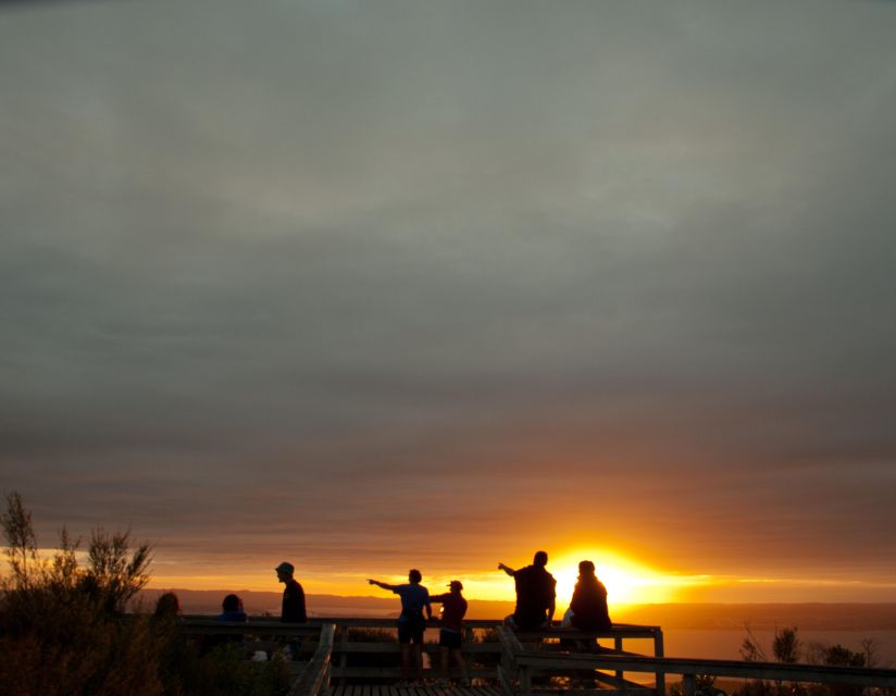 Auckland: Sunset & Night Sea Kayak Tour to Rangitoto Island - Key Points