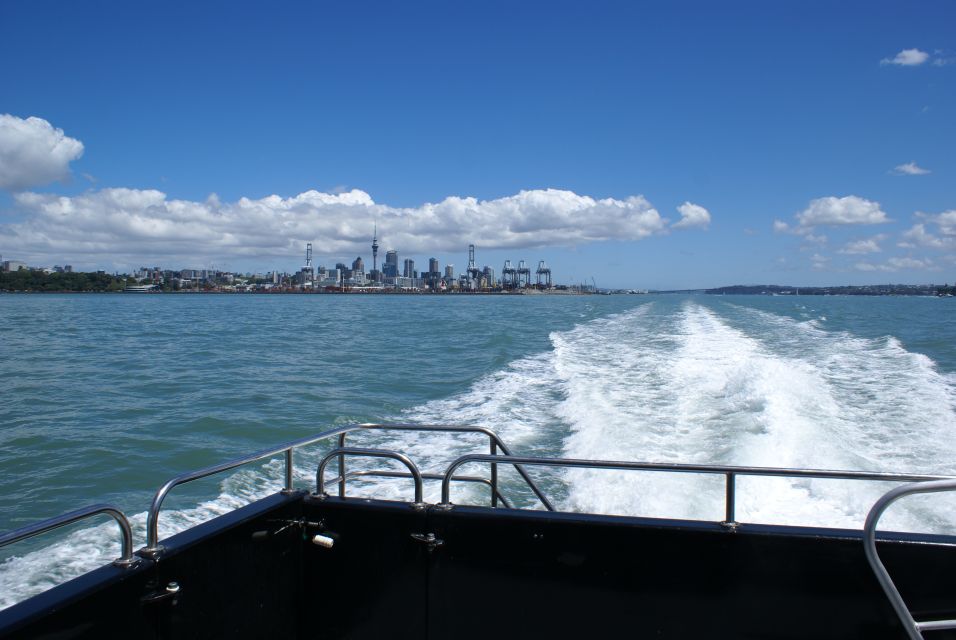 Auckland: Tikapa Moana Whale and Dolphin Wildlife Cruise - Key Points