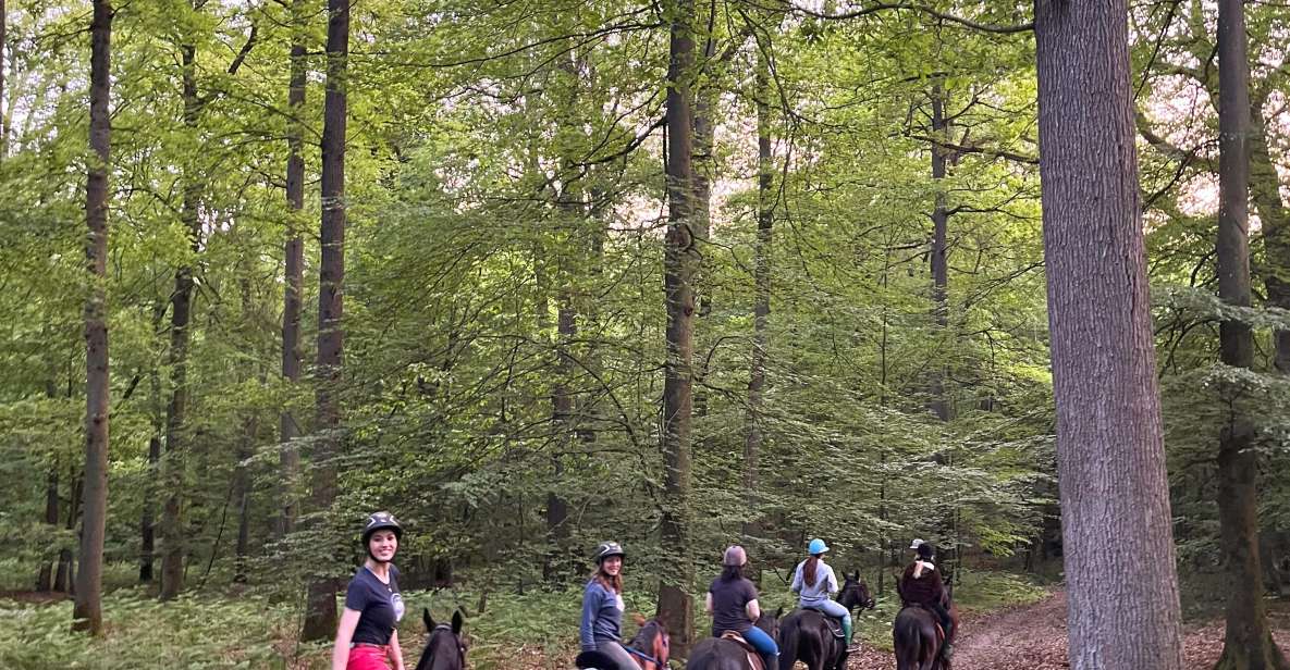 Aumont-En-Halatte: Horseback Riding in the Forest Near Paris - Key Points