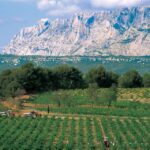 avignon full day wine tour around chateauneuf du pape Avignon: Full-Day Wine Tour Around Châteauneuf-Du-Pape