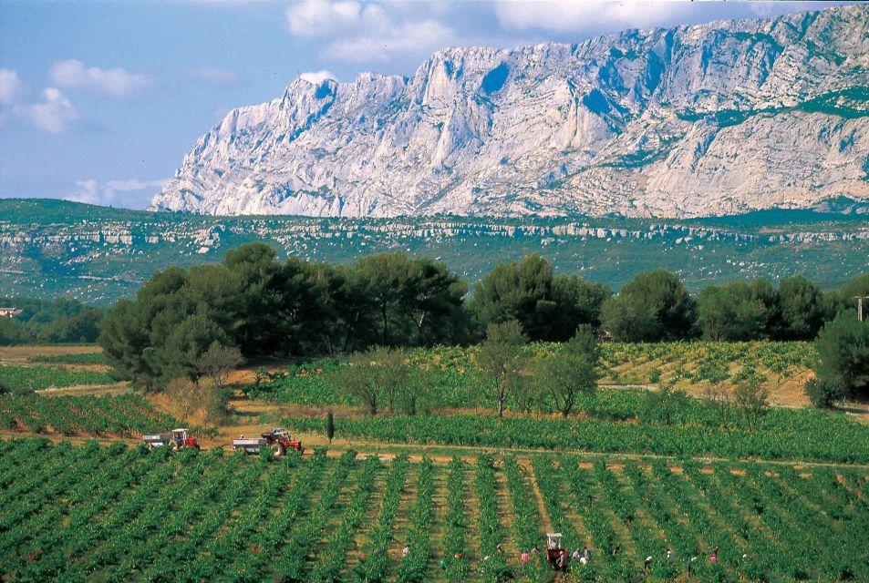 Avignon: Full-Day Wine Tour Around Châteauneuf-Du-Pape - Key Points