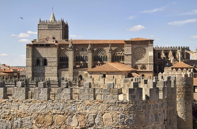Avila With Bulls, Bees and Castles From Madrid. Choose Your Tour - Key Points