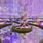 aya universe futuristic 3d park dubai with transfers option AYA Universe - Futuristic 3D Park Dubai With Transfers Option