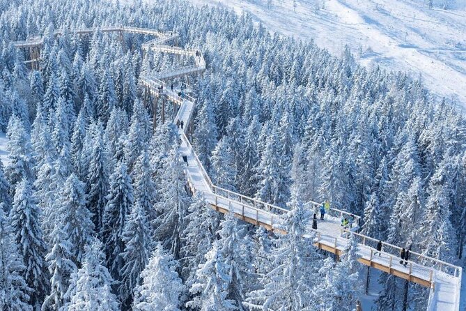 bachledka treetop and strbskie pleso tour from zakopane Bachledka Treetop and Strbskie Pleso Tour From Zakopane