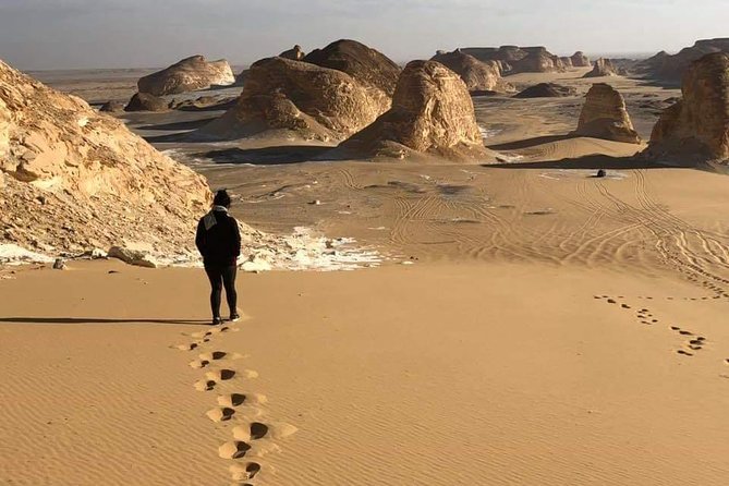 Bahariya Oasis White Desert 2-Day Camping Tour From Cairo - Key Points