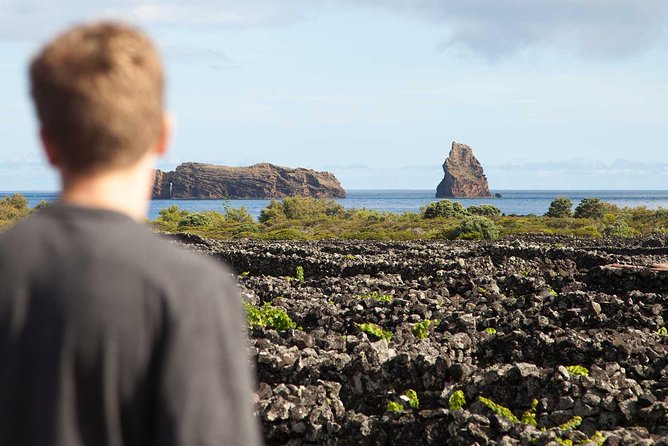 Banana Trip - Full Day Private Tour to Pico With Round Trip From Faial - Key Points