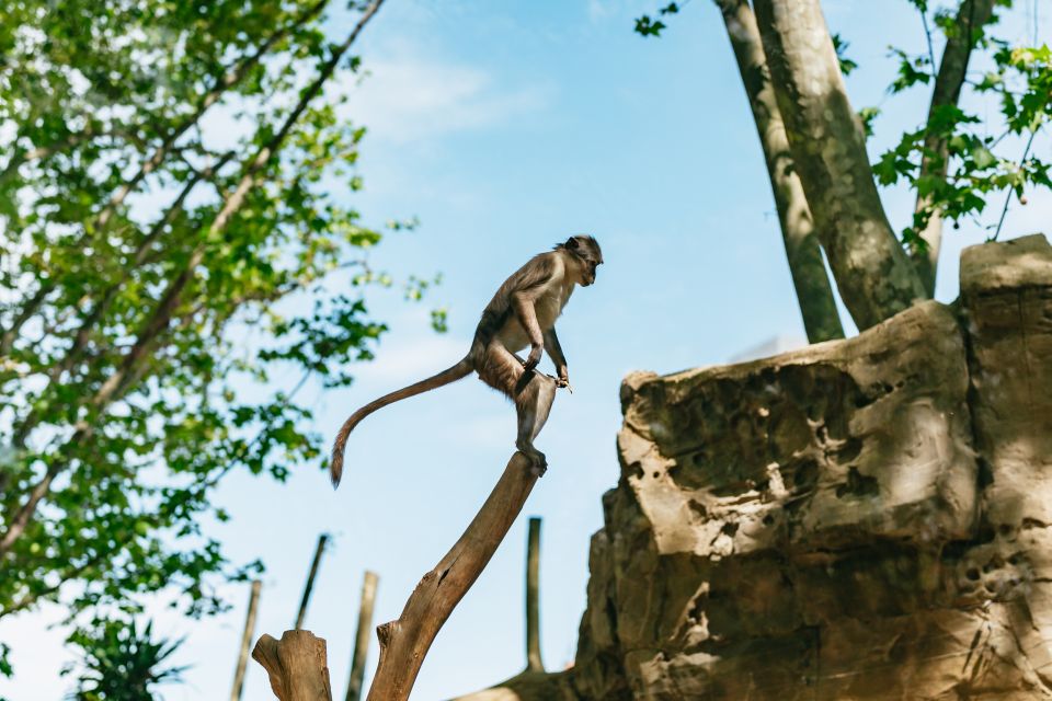 Barcelona: 1-Day Ticket to Barcelona Zoo - Key Points