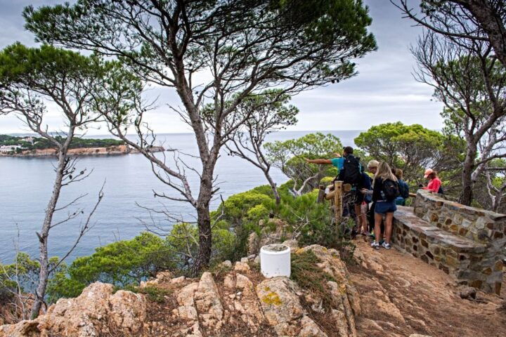 Barcelona: Costa Brava Hiking, Sea Kayaking & Lagoon Dipping - Key Points