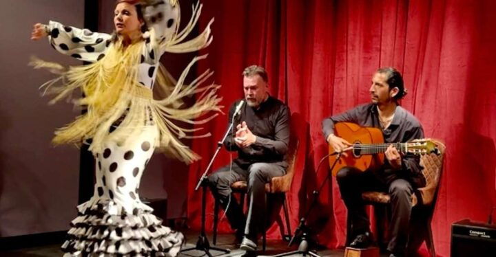 Barcelona: Flamenco Premium Show and Tour Guitar Museum - Key Points