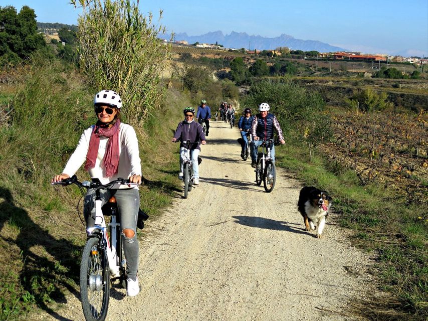 Barcelona: Guided Half-Day Wine and Electric Bike Tour - Key Points