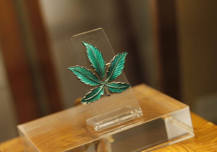 Barcelona: Hash Marihuana & Hemp Museum Entry Ticket - Key Points