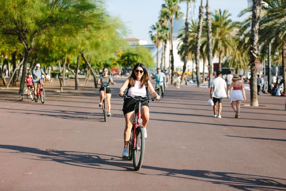 Barcelona Small Group Guided Bike Tour - Key Points