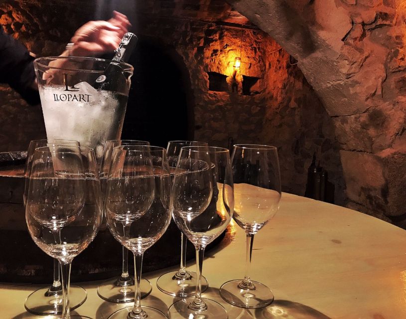 Barcelona: Wine & Sparkling Wine Premium Tour - Key Points