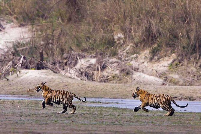 Bardia National Park Jungle Safari Tour Package - 3 Nights 4 Days - Logistics for the 3 Nights 4 Days Tour