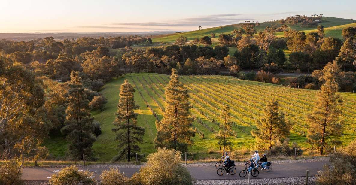 Barossa Valley: Gourmet Food and Wine E-Bike Tour - Key Points