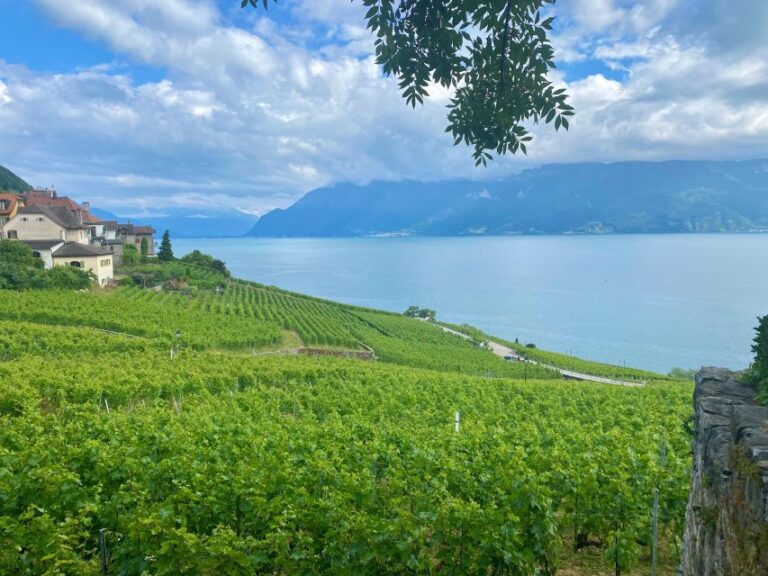 Basel: Gruyères and Lavaux Private Wine and Cheese Day Trip