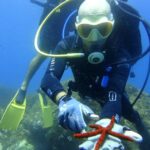 basic scuba diver Basic Scuba Diver
