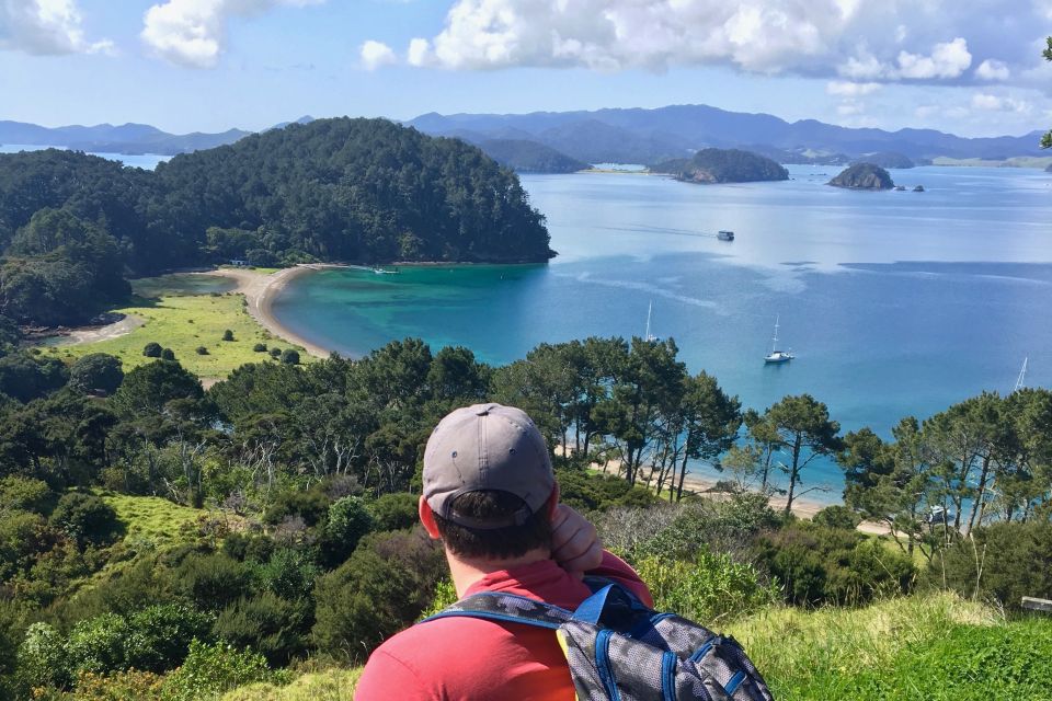 Bay of Islands: 4.5 Hour Day Cruise and Island Getaway Tour - Key Points