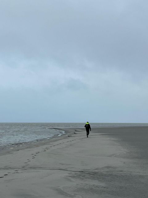 Bay of Mont Saint-Michel : Towards The Immensity - Key Points