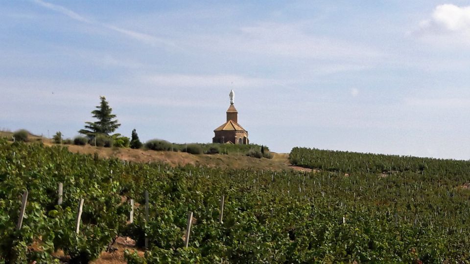 Beaujolais: Half-Day Wine Tour - Key Points