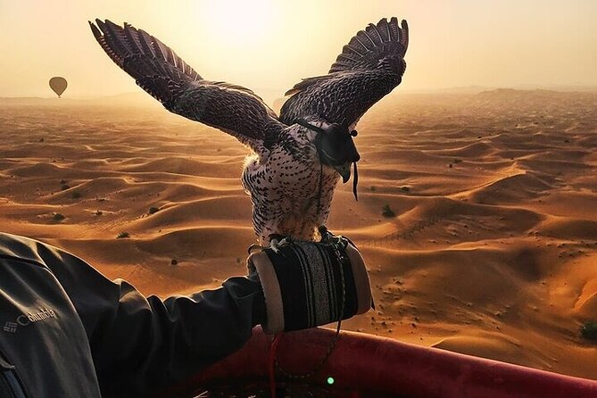 beautiful dubai desert by balloon falcon show Beautiful Dubai Desert by Balloon & Falcon Show