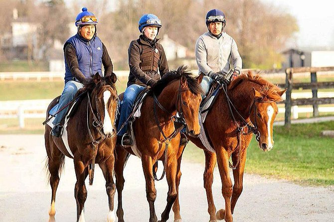 behind the scenes thoroughbred tour Behind the Scenes Thoroughbred Tour