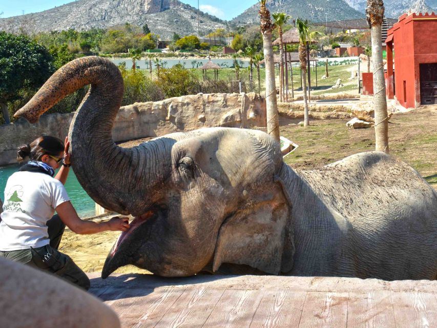 Benidorm: Terra Natura Theme Park 1-Day Tickets - Key Points