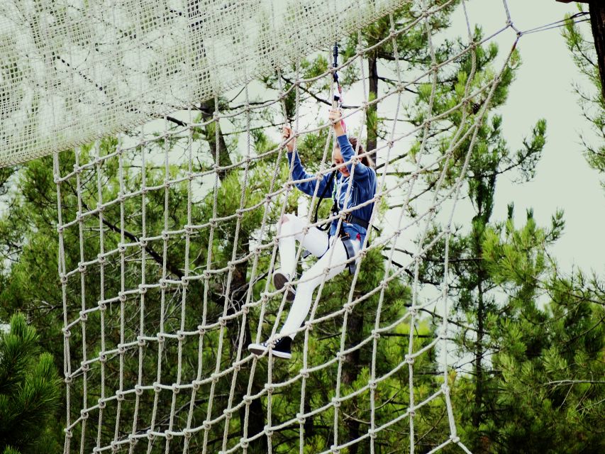 Benidorm: Ziplines at Alicante Forestal Park - Key Points