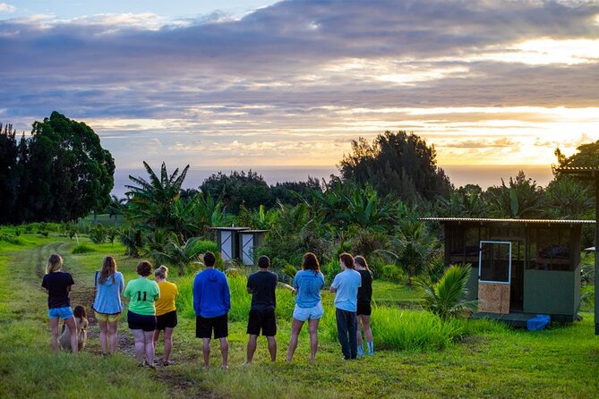 Big Island Farms Tour in Hawaii - Key Points