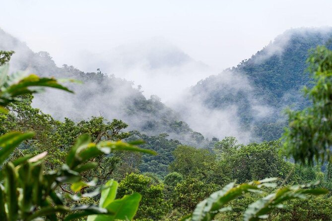 Birding in Mindo Cloud-Forest Mitad Del Mundo - Key Points