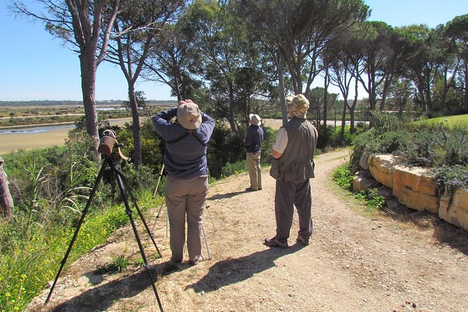 Birdwatching Day in the Ria Formosa Natural Park - Guided Birdwatching Tour Details