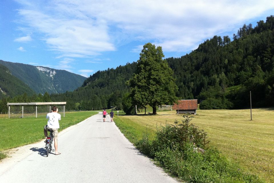 Bled: Mountain Bike Rental - Key Points