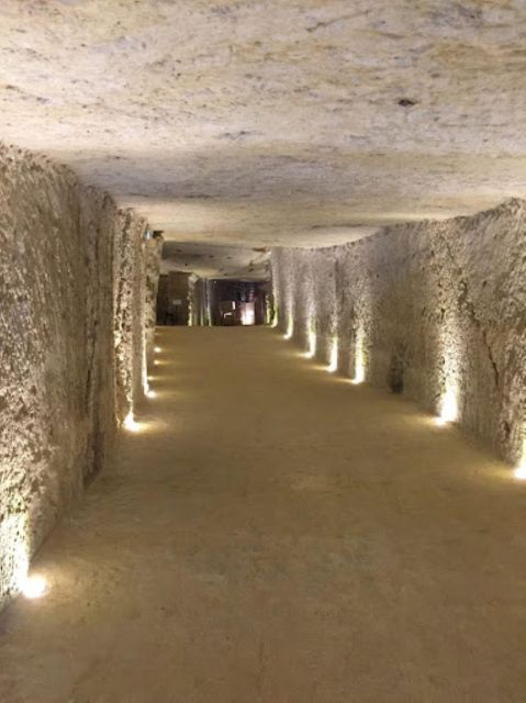 Blois: Exclusive Wine Tasting in Cheverny and Cour Cheverny - Key Points