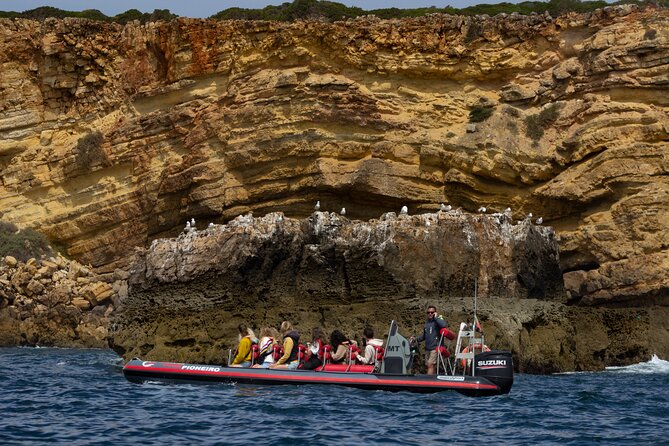 Boat Trip to the Costa Vicentina Caves - Tour Highlights