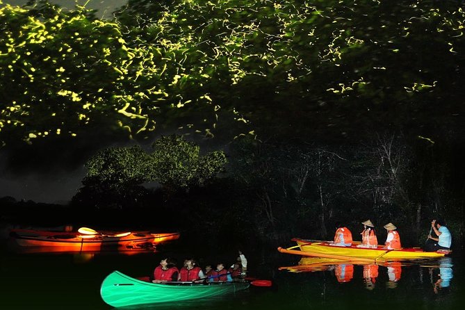 Bohol Firefly Watching (Private) - Key Points