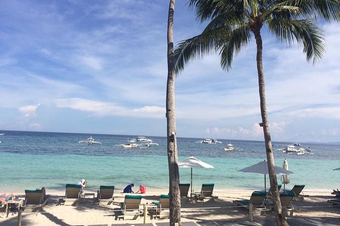 Bohols Panglao Island Half Day Land & Half Day Island Hopping (Cebu or Bohol) - Key Points