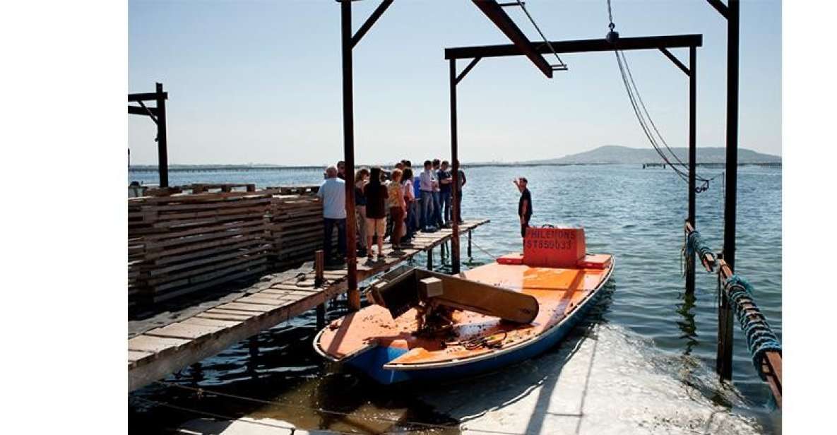 BOUZIGUES: TASTING VISIT TO AN OYSTER FACTORY - Tour Price and Duration