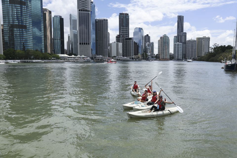 Brisbane: 2-Hour Kayak Hire on Brisbane River - Key Points