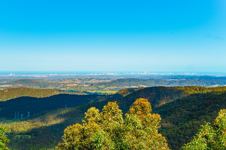 Brisbane: OReillys Tree Top Walk - Key Points