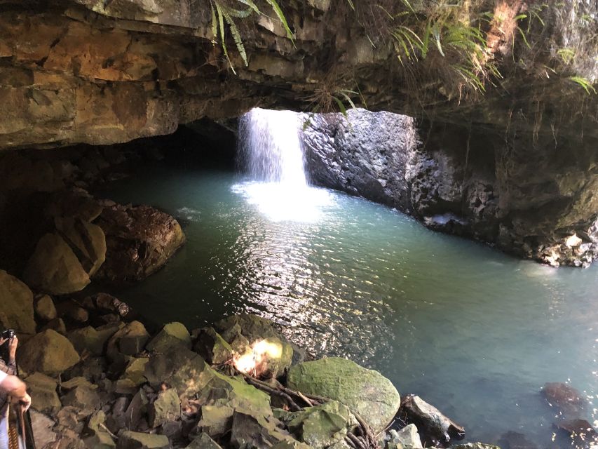 Brisbane: Springbrook and Mt Tamborine Rainforest Day Tour - Key Points