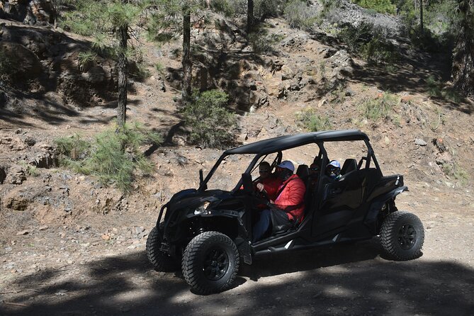 Buggy Tour to Teide in Tenerife - Tour Overview