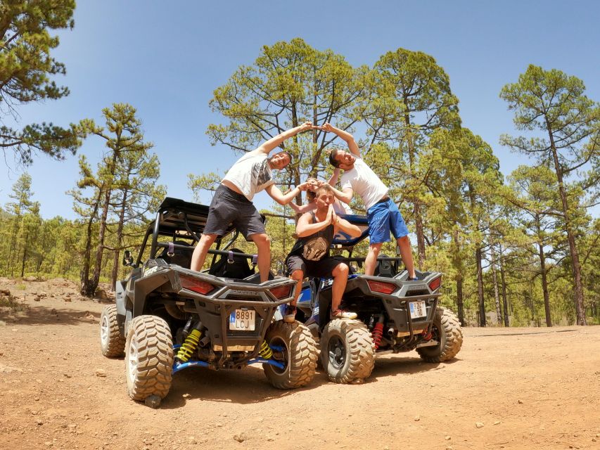 Buggy Tour Volcano Teide With Wine Degustation - Key Points