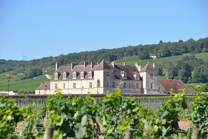 Burgundy: 2-Day Vineyard Visits and Wine Tasting Tour  - Dijon - Key Points