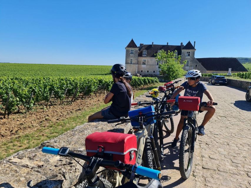 Burgundy: Fantastic 2-Day Cycling Tour With Wine Tasting - Key Points